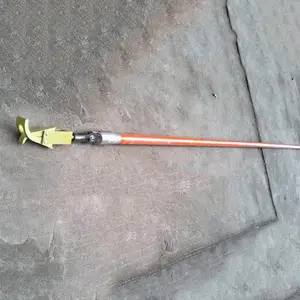 ��ʱ��ͷ������ӥ��ͷ����10KV������ӥ�����߸���ӥͷ��Ե��