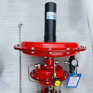 SENMA����ʽ��Ĥ΢ѹ���ڷ�ZZYVP-16P�������ⷧ