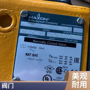 ����ɭMAXON 25663 47232 18110 23793 37160 1081869�缫����˫