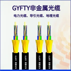 24芯管道光缆 GYFTY-24B1 GYFTZY-48B1 GYFZTY-24B1非金属光缆定制