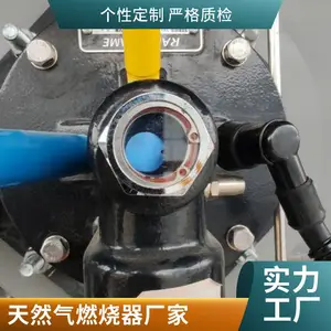工业窑炉烧嘴燃气天然气燃烧器燃烧系统天然气燃烧器源头厂家岱鼎