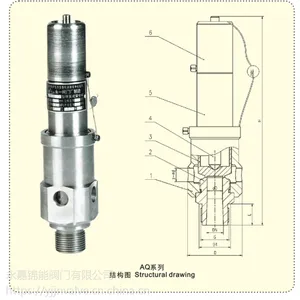 AQ���ַ�������ʽ��ѹ��ר�ð�ȫ����������