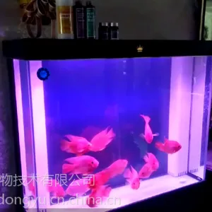 ʯ��ׯ���������ϴ