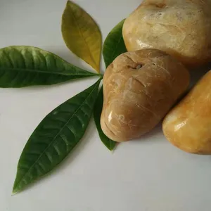 ˮ��װ������Ȼ�껨ʯ ���� �׹����ʯ ����Ӧ