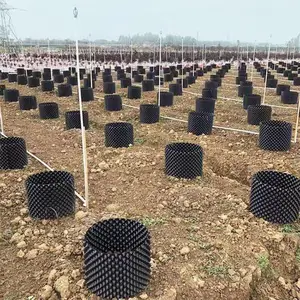 园艺花卉控根器 景观盆景移栽控根器围栏胶板 塑料花盆排水板