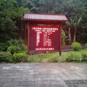 �ǻۿ�����������Ũ�ȼ�����������������5Ҫ��ʵʱ���߲ɼ�