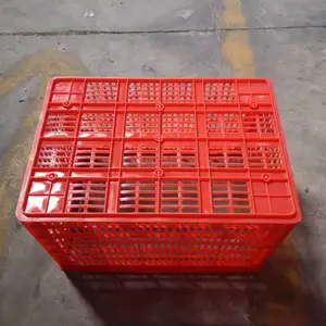 ̩����Ӧ��ݸ��ת����ƽ���������Ͽ�4����ɫ����