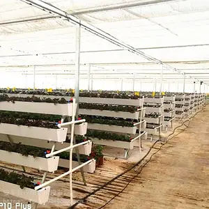 大棚高架立体种植槽汉明草莓槽生产批发