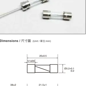Walter华德玻璃管保险丝TSD+P/TSD(P)/TSD1.6A 6.3A250V+P