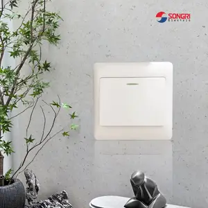 �Ϻ����գ�SONGRI����װһ������˫�� �����Ʊڵư�װ86��ǽ�ڿ��ز������ ���õ�Դ���պϿ���