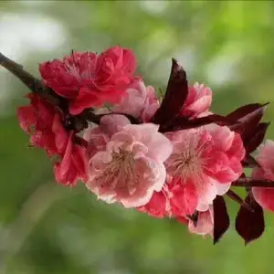 3Ԫ���������� 1�׸����� ������ ��ʪ�ʼ� ����