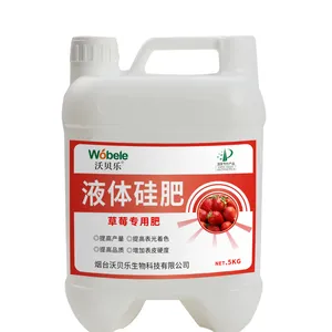 单硅酸 草莓专用硅肥 沃贝乐生物科技 液体硅肥 冲施肥 硅肥厂家 5公斤装