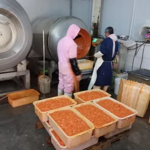 诸城劲松GR-600升真空滚揉机现货批发肉食腌制设备滚揉罐