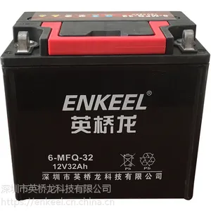 ��ά��Ħ�г���ƿ12V32Ah Ħ�г���� ���س���