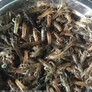 ��ˮ��Ϻ�� ��ˮ������Ϻ����ֳ������ �ɱ��� Ͷ����