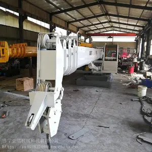 �㶫����������Ӧ���� ���� 12�ִ��õ�����ͷ�� �����