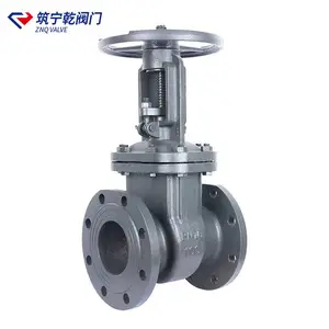 ����Ǭ ����բ�� Z41-16C ����̼��բ�� dn100 ����