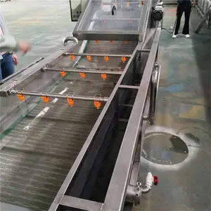 果蔬清洗机 黄瓜荠菜丝脱盐机 净菜加工生产线