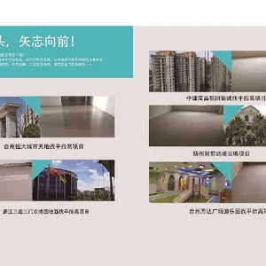 江苏水泥自流平每平米价格 欢迎咨询 台州市国远建材供应