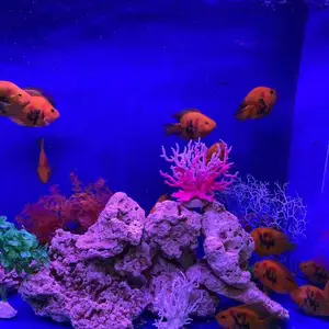 ��Ҫ�������ĺ���չ��ȥ��������������ṩȫ�׷���