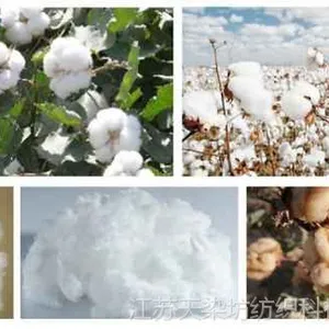有机棉天然彩棉纤维