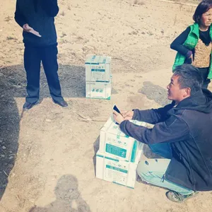 知道这些,你能比80%的种柑人更专业!(卡希诺)