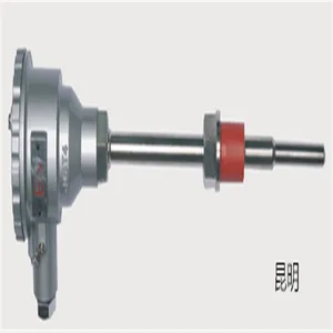 隔爆铂电阻温度计 产品型号：T6WZP02