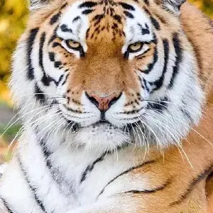 ���涯��������˾����