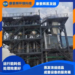 康景辉 撬装式蒸发生器 加工厂蒸发器 定制加工 多效结晶设备