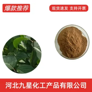 饲料级杜仲素厂家 禽畜水产饲料添加剂 杜仲叶提取物