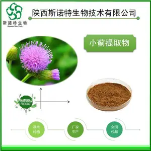 药食同源供应小蓟提取物 斯诺特生物 水溶性小蓟粉 包邮发货