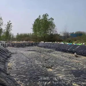 沼液池软体黑膜 猪场沼气池防渗黑膜 沼气池用黑色土工膜