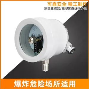 威测测控气体用自动化防爆电接点压力表
