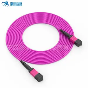 12芯MPO光纤跳线厂家12芯万兆多模光纤跳线价格12芯OM3/OM4图片