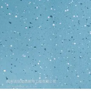 栢俪 伊赛雅 博物馆 塑胶地板 橡胶地板 PVC 防潮 耐磨 无味 聚氯乙烯 地胶板 全国安装