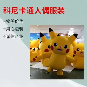 ���� IP ��ż��װ����***������ר����������