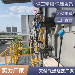 岱鼎燃烧柴油液化石油气燃烧器燃烧机加热炉工业窑炉烧嘴生产厂家