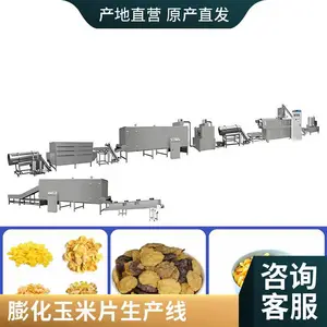 家乐氏早餐玉米片生产线 冲泡谷物片加工设备 食品膨化机