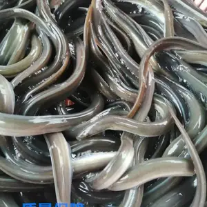 ��2021ʳ�õ�ˮ�����繩Ӧ����ѯ���ݻ���������۸� ����֧�ּ�������