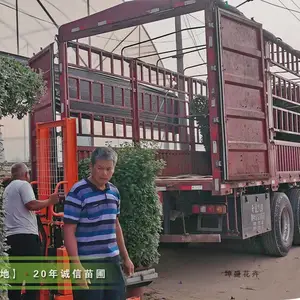 ��ʢ���ع�Ӧ���;ջ�,����Ϸ������,�������ջ�