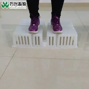 С�������ͼƬ ������ת�� С����������