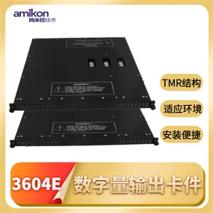 Tricon 7400206-100 �ɱ�̿���ϵͳģ��
