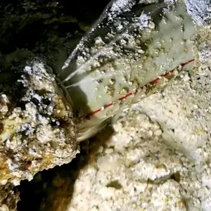 ����ͨ��������ˮ��ά��61581678���Ÿ���