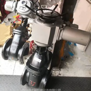 ����綯����բ��/�綯��������բ��