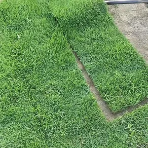 ��������Ƥ ���ݳ�ˮ���²���***�� ***