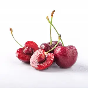 �й�-���ȱ��˹̹ רҵ�����ڴ���