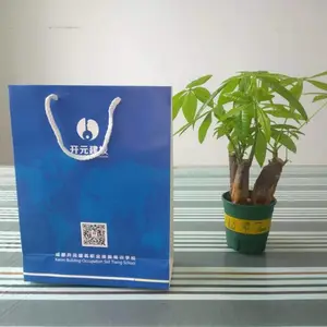 手提袋 覆膜 烫金 UV 免设计费 300*210*80 400*300*85