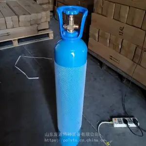 【庞通】10L 氧气瓶 带阀门 氧气瓶 医院 家庭用 气瓶 氦气瓶
