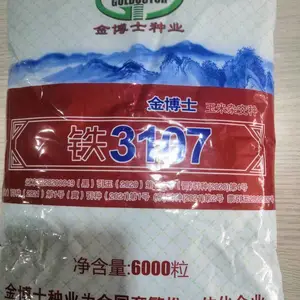 金博士铁3107