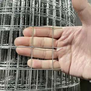 ���۹�԰ʯ������˿����п��ǽ������������Ѵ����ǽ�纸ʯ����